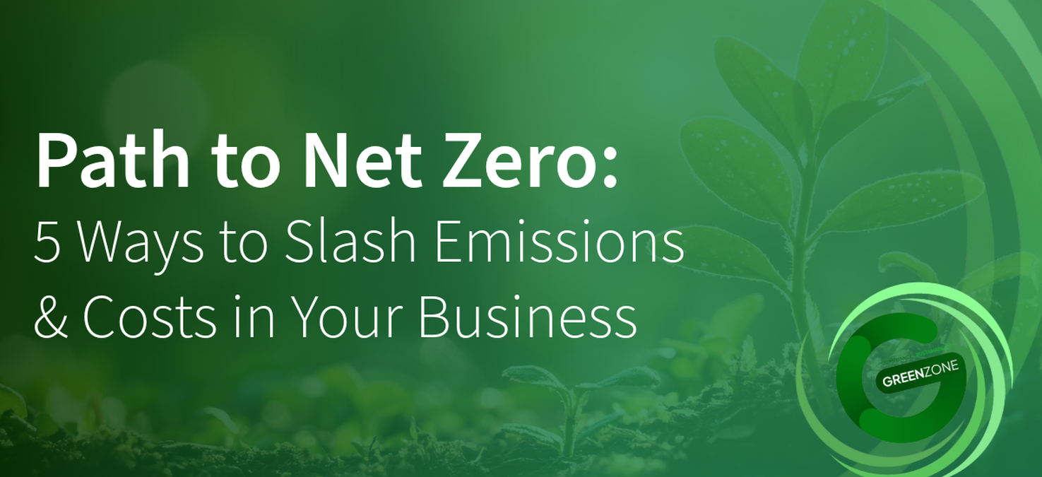 Path to Net Zero: 5 Ways to Slash Emissions & Costs in Your Business