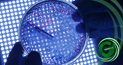 How a Legionella Risk Assessment from Green Zone Surveys Secured Safer Water at Newcastle Stadium
